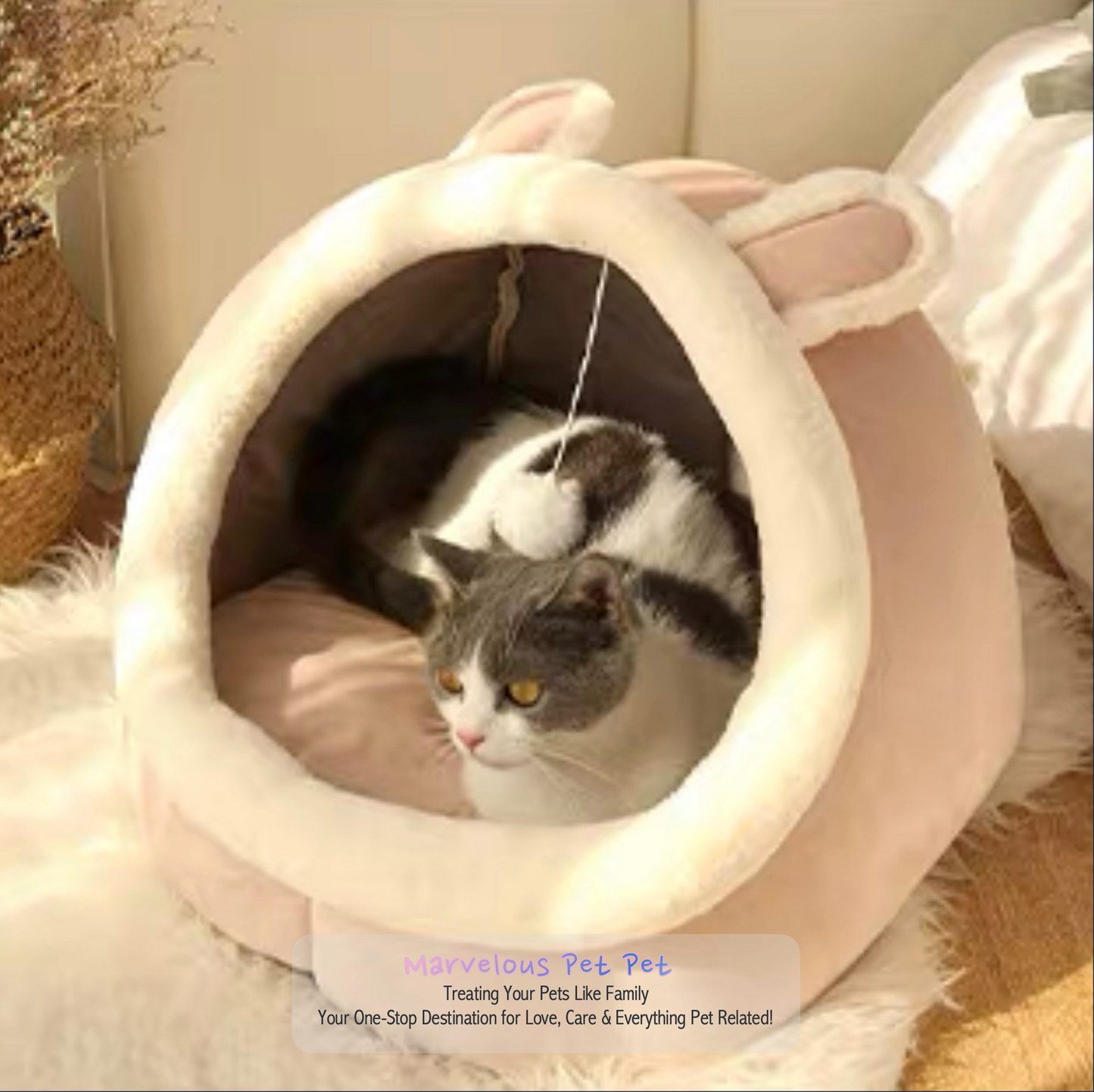 Adorable Cat Bed