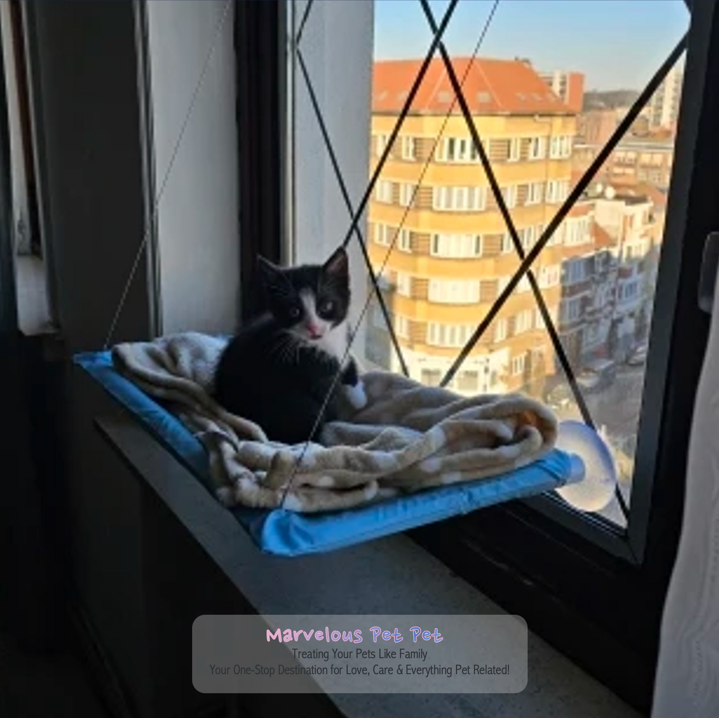 SkySnuggle Cat Window Hammock