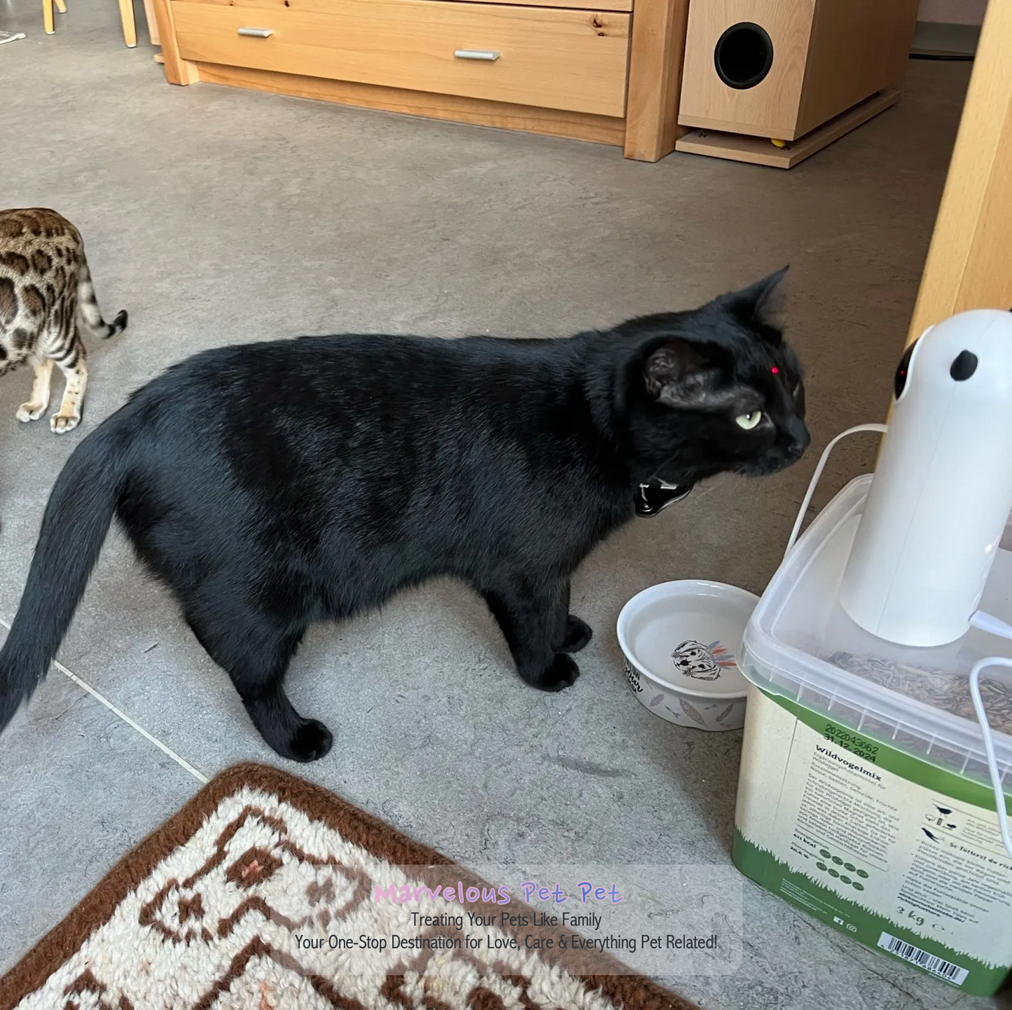 Interactive Teasing Toy for Cats