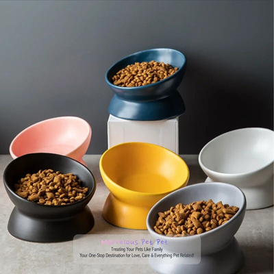 Pet's Culinary Delight: 15° Tilted Elevated Feeding Dish for Small Dogs and Cats