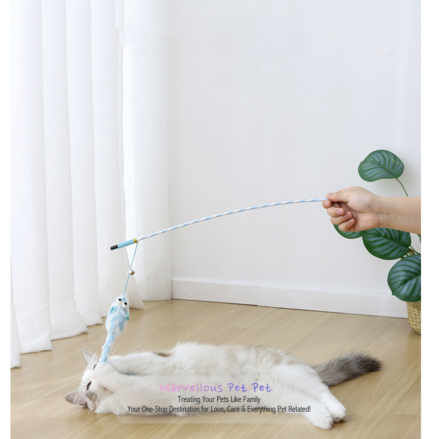 Purr-fect Playtime: Exciting Cat Toy Gift Set