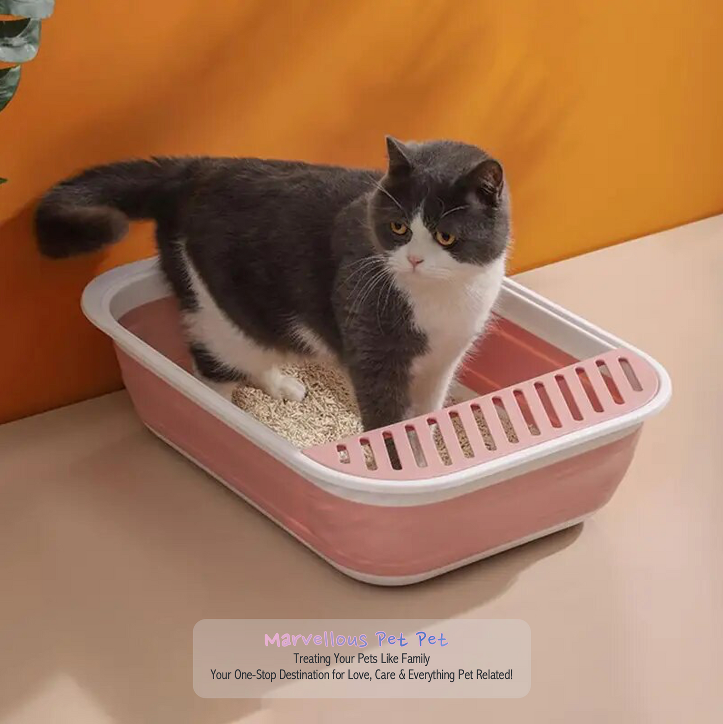 Hygiene Haven: Semi-Closed Plastic Cat Litter Box