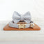 Chic Personalized Cat Collar with Bow & Bell
