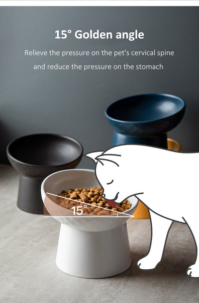 Cat Food & Water Bowl in Matte Finish