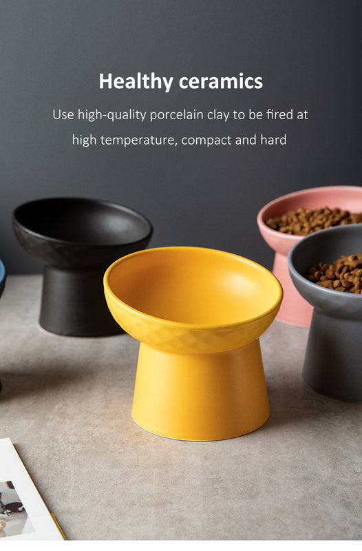 Cat Food & Water Bowl in Matte Finish