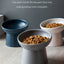 Cat Food & Water Bowl in Matte Finish