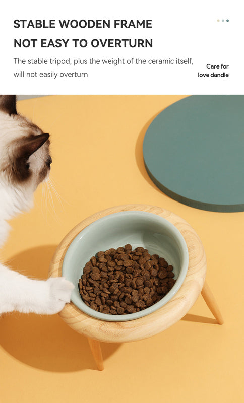 Elegant Food and Water Bowl for Cats or Small to Medium Dogs Adds a Touch of Class to Feeding Times