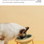 Elegant Food and Water Bowl for Cats or Small to Medium Dogs Adds a Touch of Class to Feeding Times