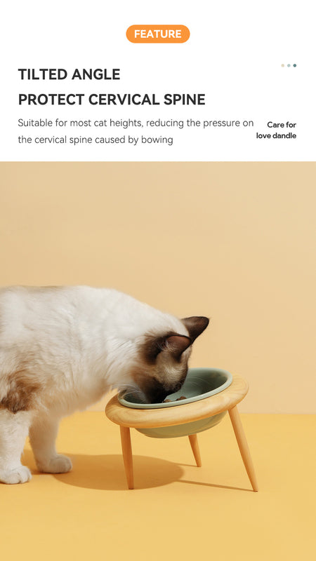 Elegant Food and Water Bowl for Cats or Small to Medium Dogs Adds a Touch of Class to Feeding Times