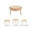 Elegant Food and Water Bowl for Cats or Small to Medium Dogs Adds a Touch of Class to Feeding Times