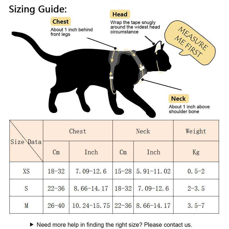 Give your pet Heavenly Upgrade: Angel Wings Pet Harness and Leash Set