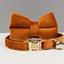 Luxurious Velvet Cat Collar