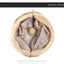 Collapsible Suede Cat Tunnel Toy