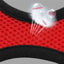 Adjustable Mesh Cat & Dog Harness Vest with Walking Lead
