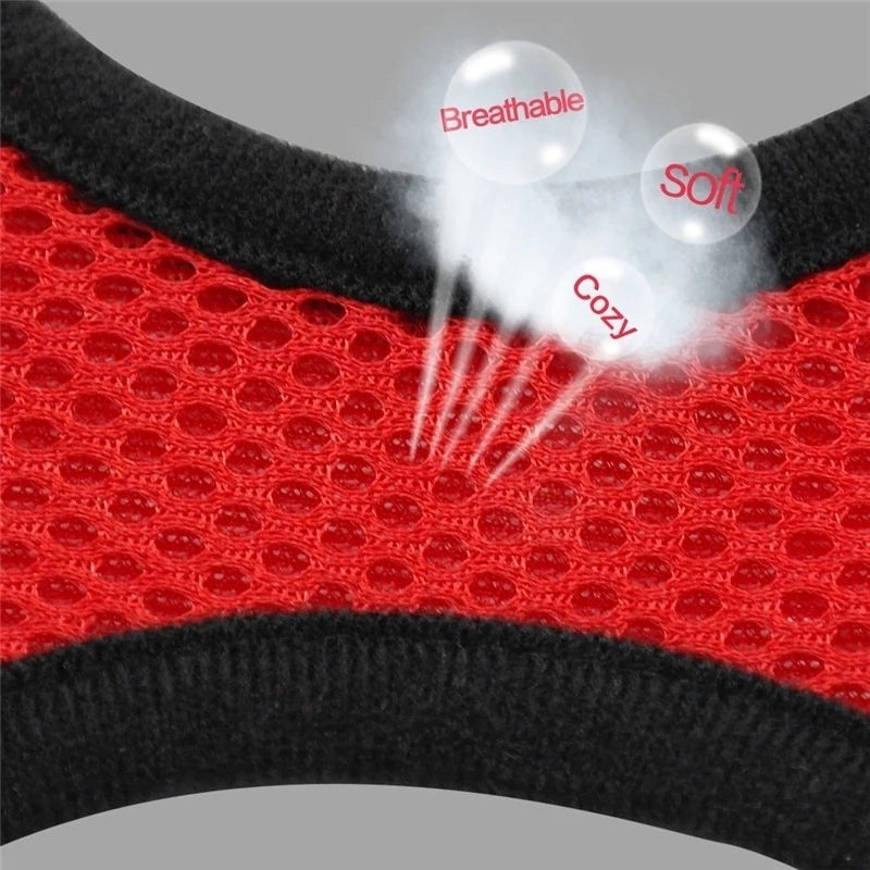 Adjustable Mesh Cat & Dog Harness Vest with Walking Lead
