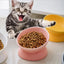 Pet's Culinary Delight: 15° Tilted Elevated Feeding Dish for Small Dogs and Cats
