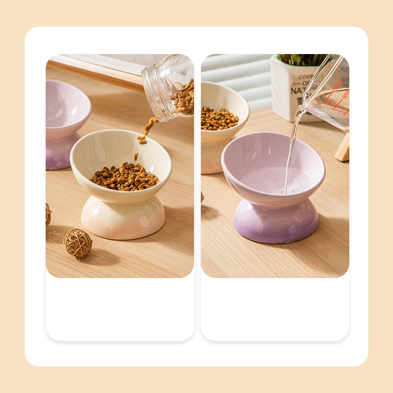 Feast in Style: Gradient Ceramic Pet Bowl for Cats