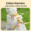 Adjustable Cartoon Bee Cat Harness Leash and Collar Set