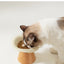Adorable High Foot Ceramic Bowls