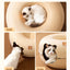 All-Season Cat Tunnel Bed - Featuring a Cozy Hiding House