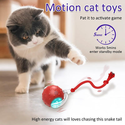 Interactive Feline Fun - New Motion Sensor Cat Toy Ball
