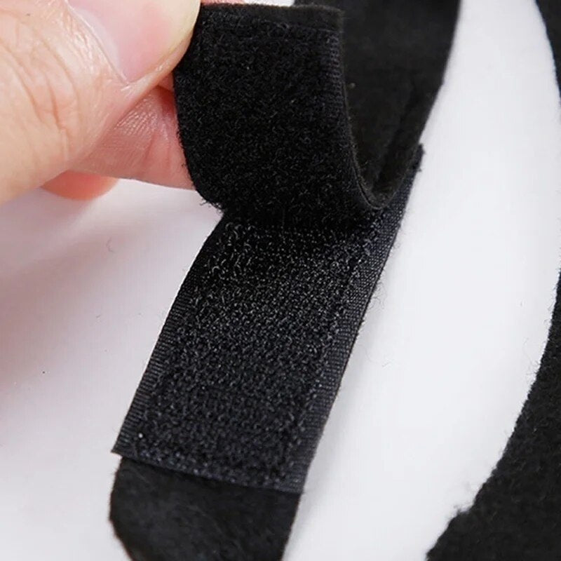 Pet-Perfect Halloween Black Bat Wings Harness