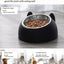 Dine with Care: 15-Degree Raised Cat & Dog Bowl