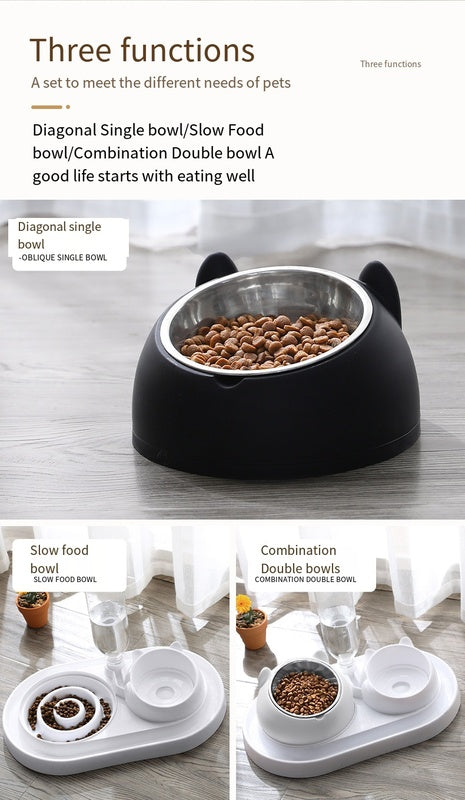 Dine with Care: 15-Degree Raised Cat & Dog Bowl