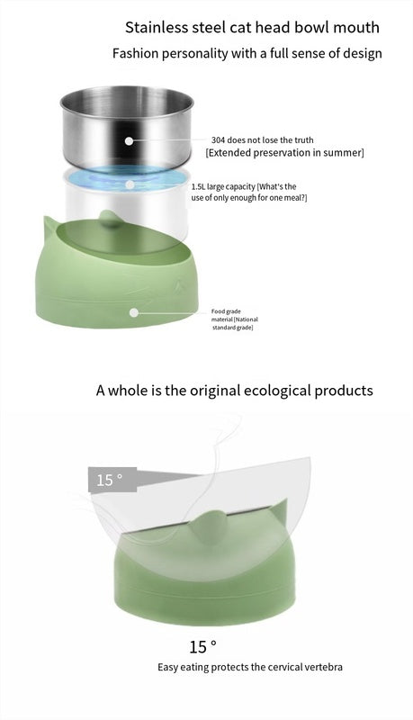 Dine with Care: 15-Degree Raised Cat & Dog Bowl