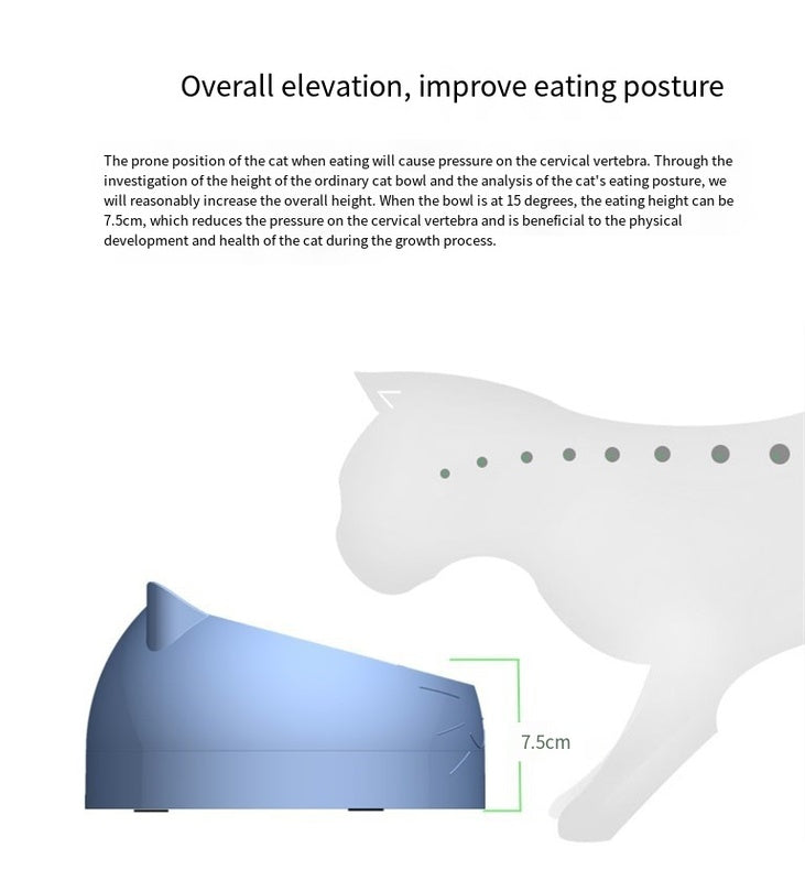 Dine with Care: 15-Degree Raised Cat & Dog Bowl