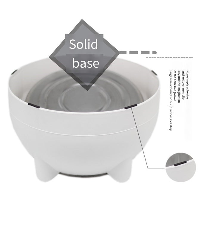 Dine with Care: 15-Degree Raised Cat & Dog Bowl