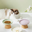 Chic Ceramic Bowl Ideal for Cats and Small Dogs
