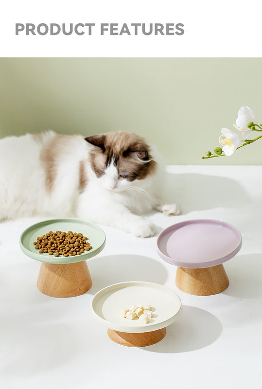 Chic Ceramic Bowl Ideal for Cats and Small Dogs