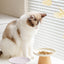 Chic Ceramic Bowl Ideal for Cats and Small Dogs
