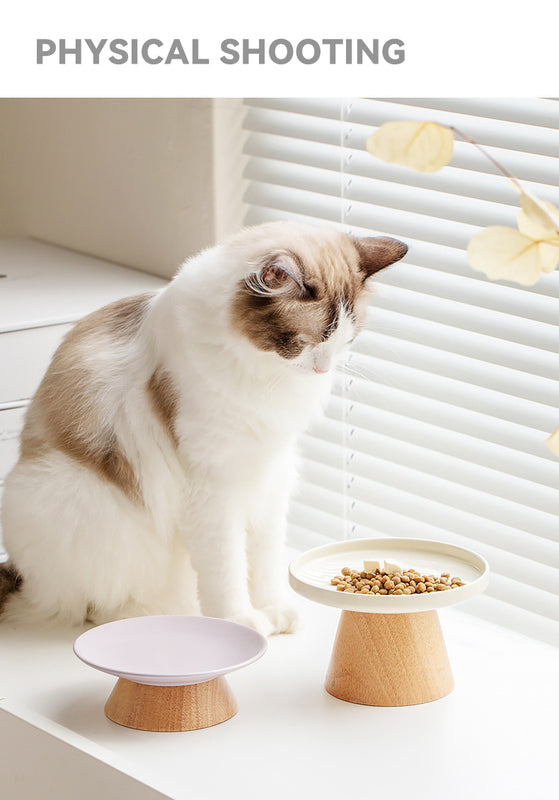 Chic Ceramic Bowl Ideal for Cats and Small Dogs