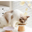 Chic Ceramic Bowl Ideal for Cats and Small Dogs
