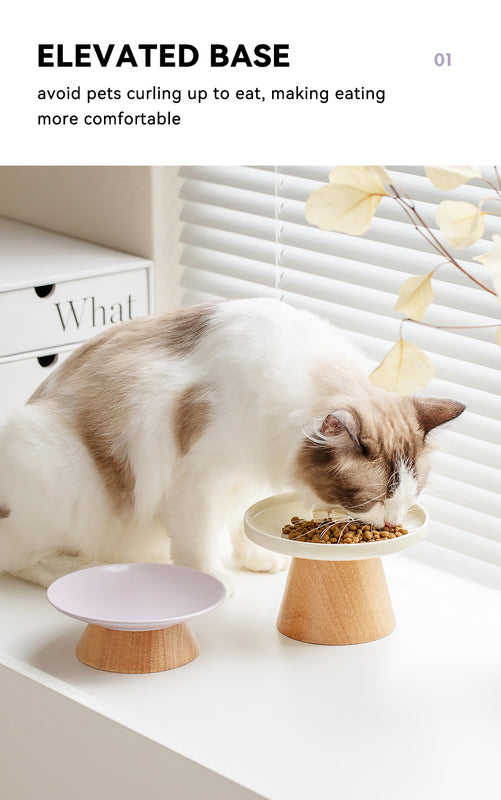 Chic Ceramic Bowl Ideal for Cats and Small Dogs