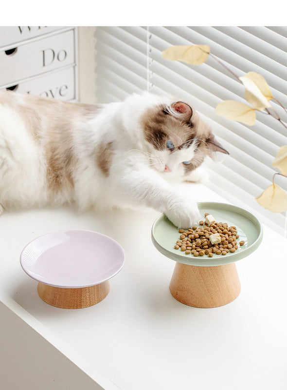 Chic Ceramic Bowl Ideal for Cats and Small Dogs