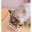 Ceramic High Foot Bowl For Cats