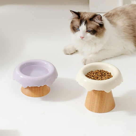 High-Foot Ceramic Bowls for Cats