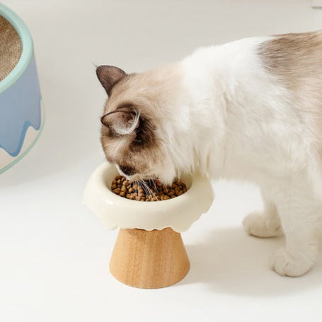 High-Foot Ceramic Bowls for Cats