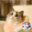 Madden's Anti-Lick & Anti-Bite Cat Neck Cover