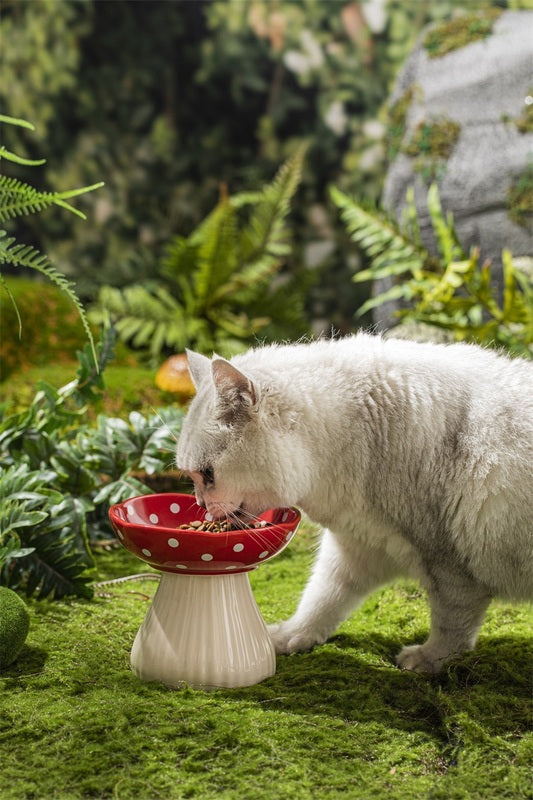 Creative Ceramic Mushroom Shaped Bowl for your Cat or Puppy