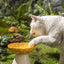 Creative Ceramic Mushroom Shaped Bowl for your Cat or Puppy