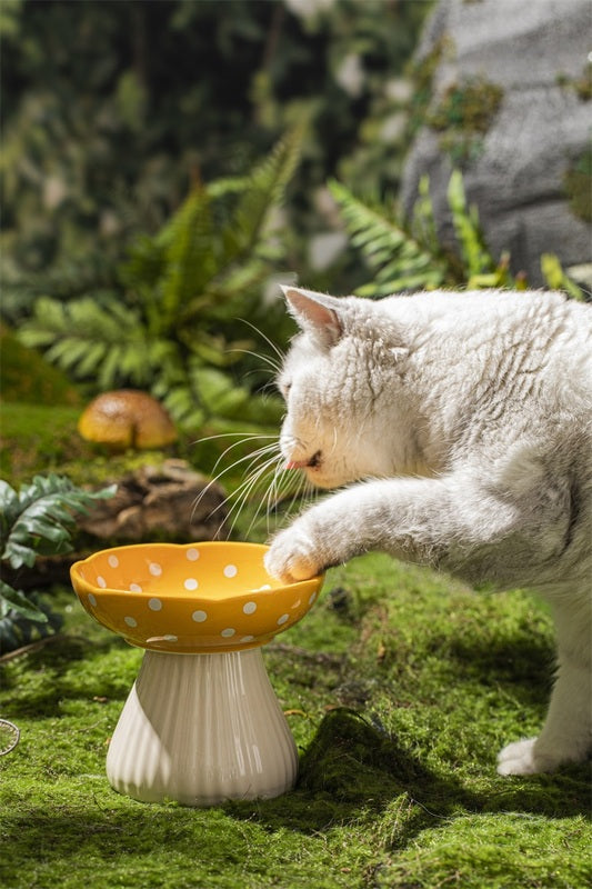 Creative Ceramic Mushroom Shaped Bowl for your Cat or Puppy