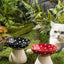Creative Ceramic Mushroom Shaped Bowl for your Cat or Puppy
