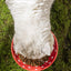 Creative Ceramic Mushroom Shaped Bowl for your Cat or Puppy