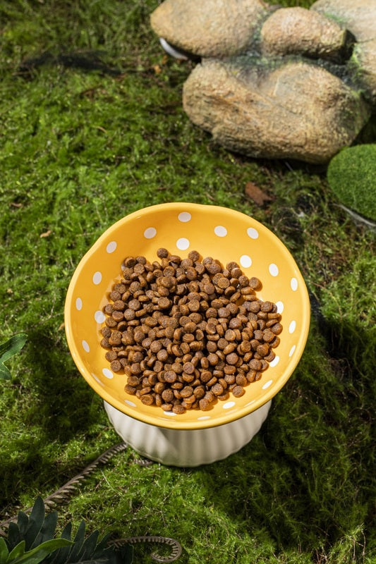 Creative Ceramic Mushroom Shaped Bowl for your Cat or Puppy
