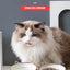 Poursweet Cat Bowl
