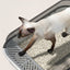 Maintain an Effortlessly Clean Home with Semi-Enclosed Jumbo Cat Litter Box